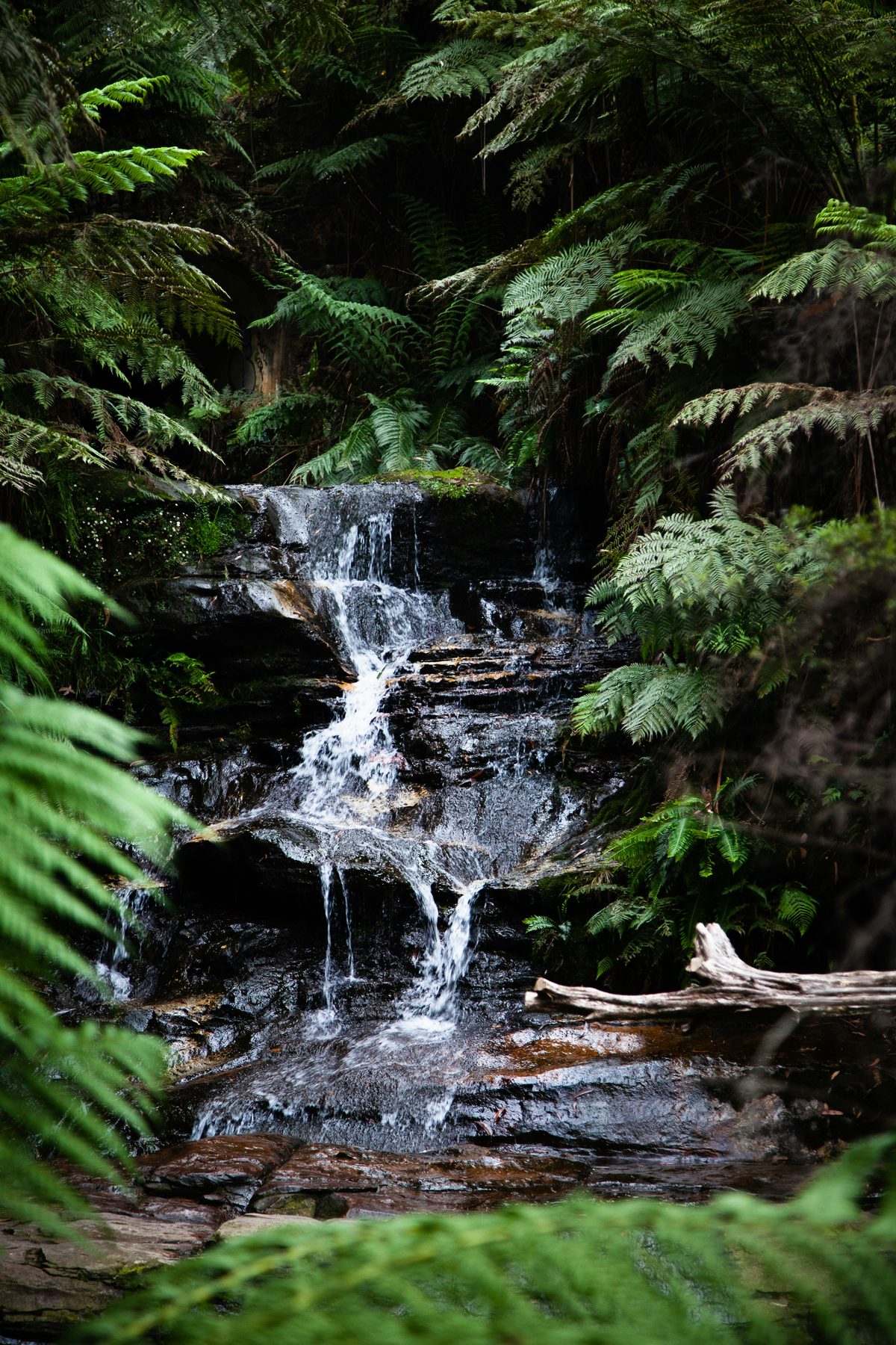 A clear rainforest stream in Far North Queensland